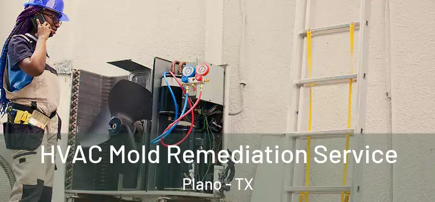 HVAC Mold Remediation Service Plano - TX