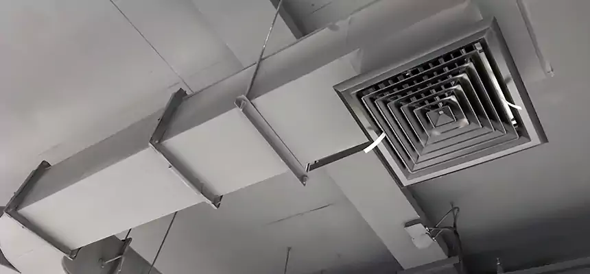 Restorative Allergy Relief Vent Cleaning – Coil, Blower & Housing Detail in Plano