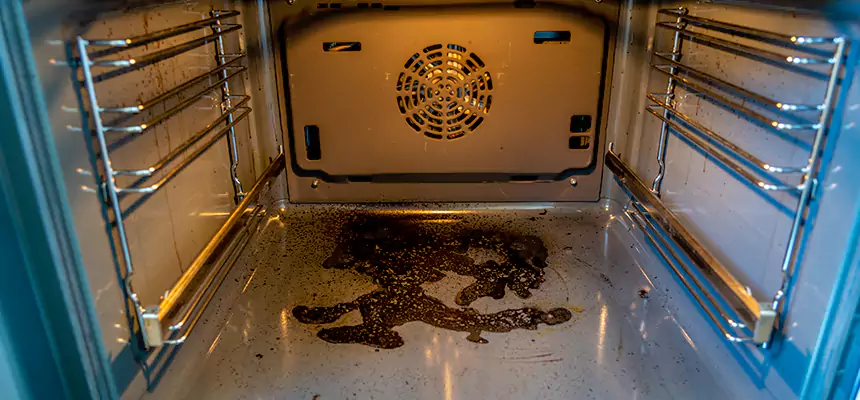 Our Dryer Vent Mold Cleaning Services in Plano, TX