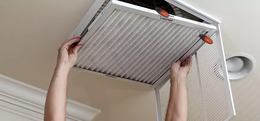 Our Insect Removal from Air Ducts Services in Plano, TX