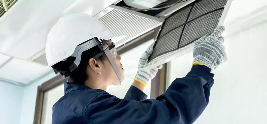 Our Mold & Mildew Removal from Air Ducts Services in Plano, TX