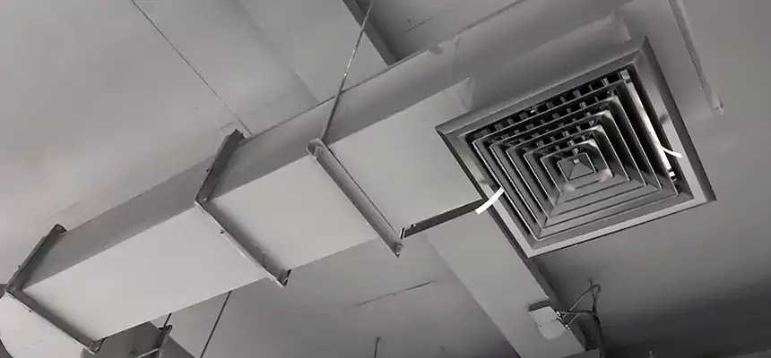 Our Pest Removal From Ducts Services in Plano, TX