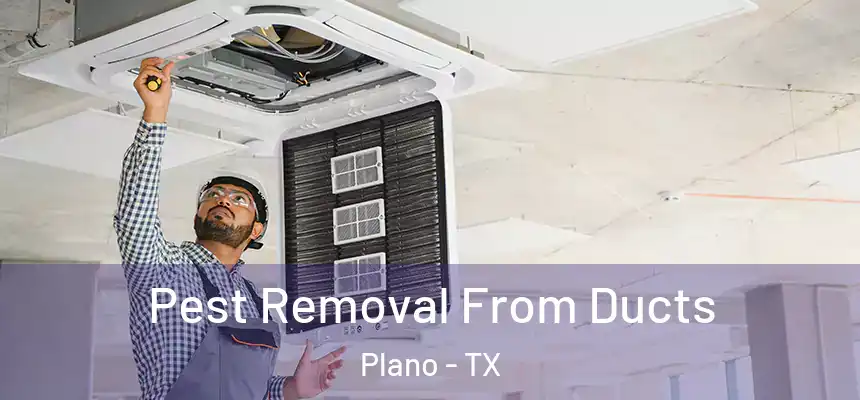 Pest Removal From Ducts Plano - TX
