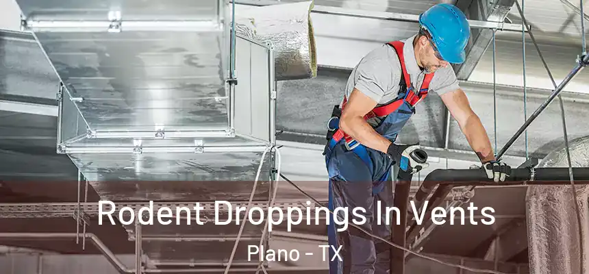 Rodent Droppings In Vents Plano - TX