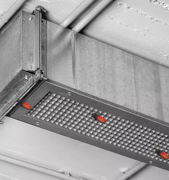 About Air Duct Cockroach Removal in Plano, TX