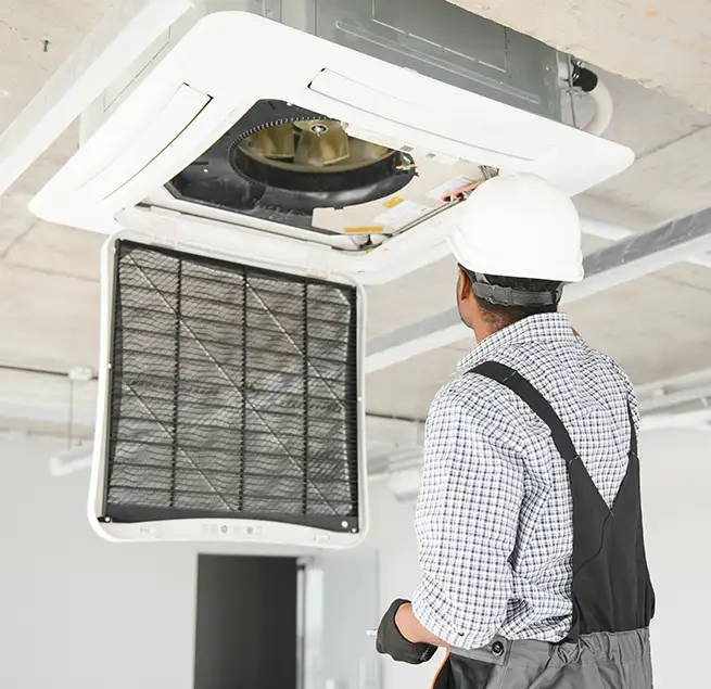 Why Homeowners & Businesses Trust Us in Plano, TX?