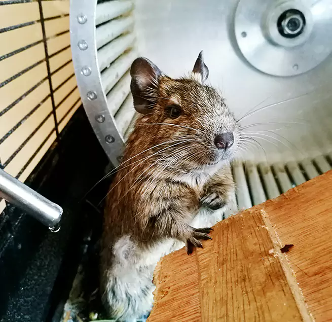 Why Homeowners & Businesses Trust Us Plano, TX