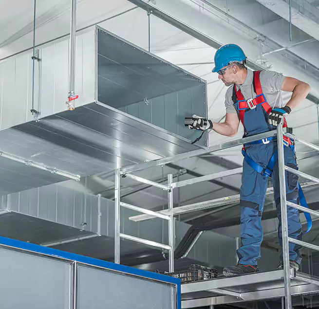 Why Homeowners & Businesses Trust Us in Plano, TX?