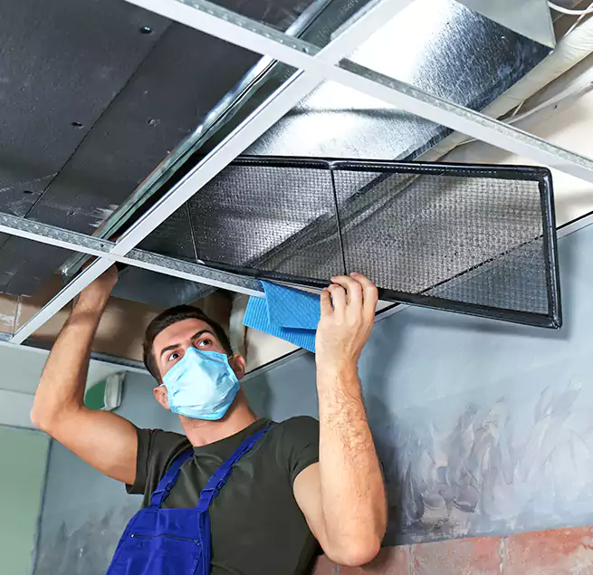 Why Homeowners Businesses Trust Us in Plano, TX