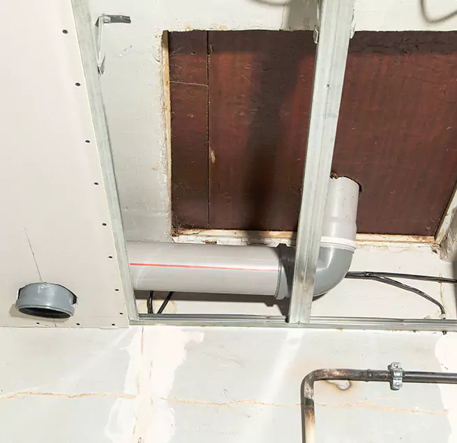 Why Homeowners & Businesses Trust Us in Plano, TX?