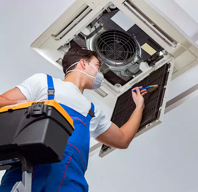 Why Homeowners & Businesses Trust Us in Plano, TX