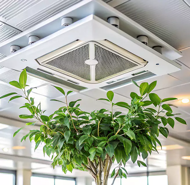 Why Homeowners & Businesses Trust Us in Plano, TX