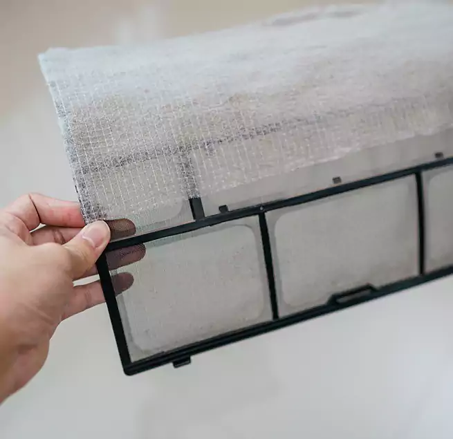 Why Homeowners & Businesses Trust Us in Plano, TX?