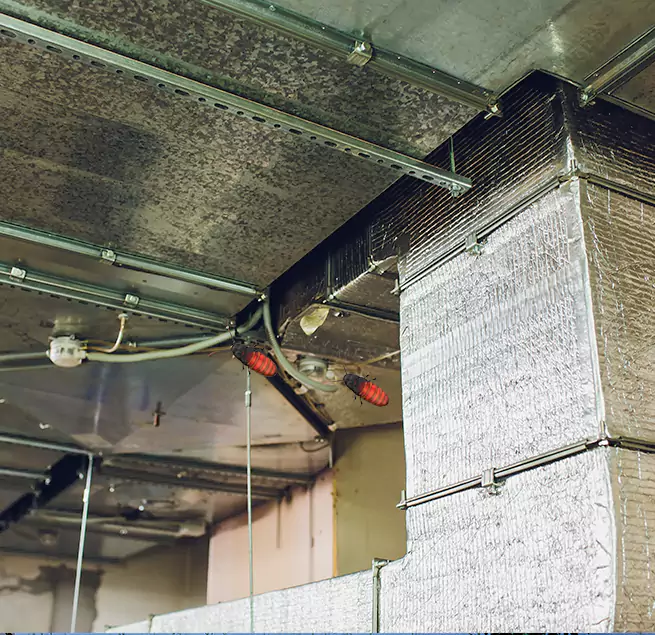 Why Homeowners & Businesses Trust Us Plano, TX?