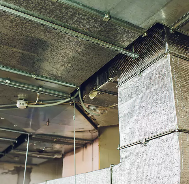 Why Homeowners & Businesses Trust Us in Plano, TX?