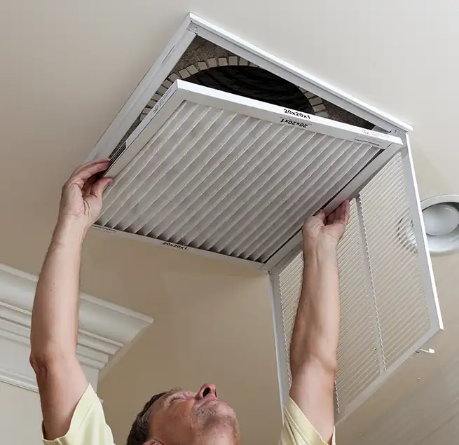 Why Homeowners & Businesses Trust Us in Plano, TX?